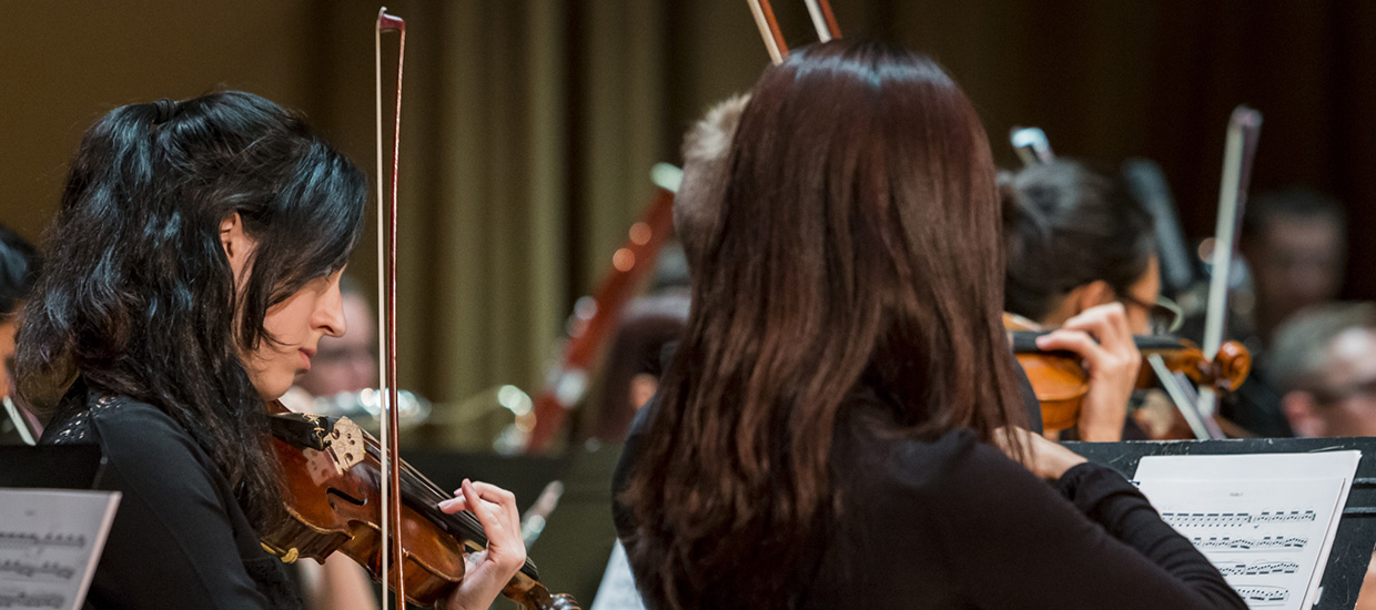 Violinists perform live in concert